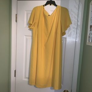 Eloquii Flutter Sleeve Shift Dress Sz 20